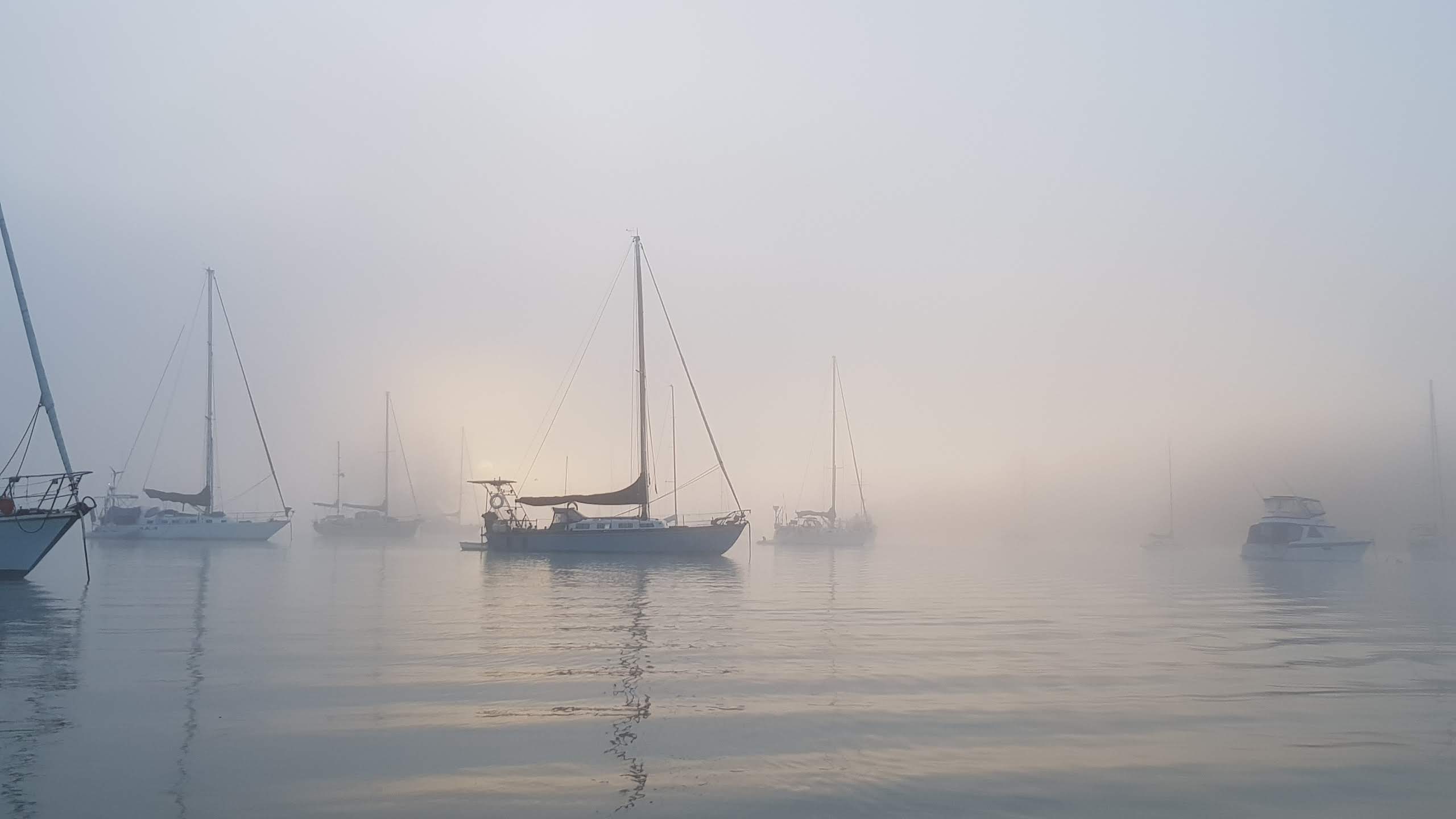 Sailboats in a misty harbour